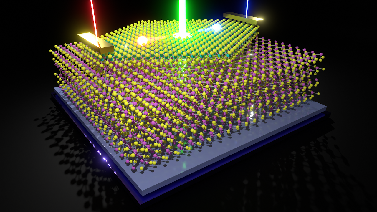 対称性制御による非線形現象